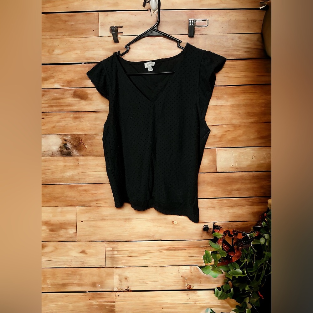 Swiss Dot J. Crew top